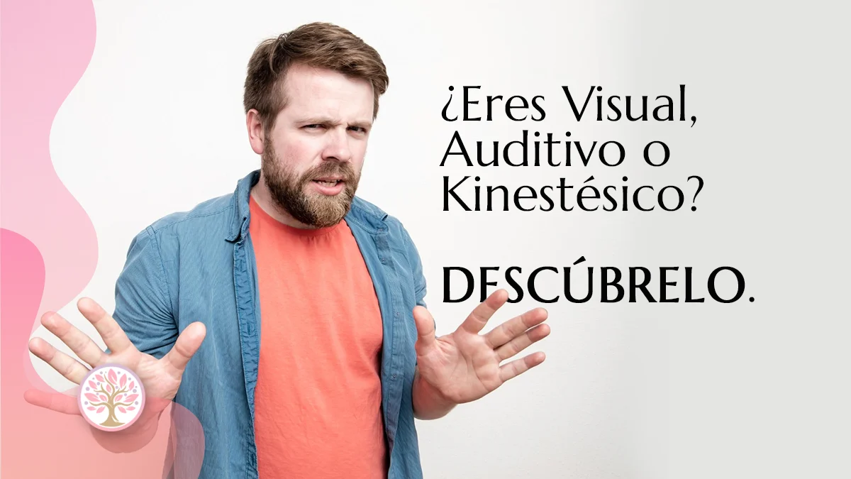 Tipos de aprendizaje según la PNL: Visual, Auditivo o Kinestésico